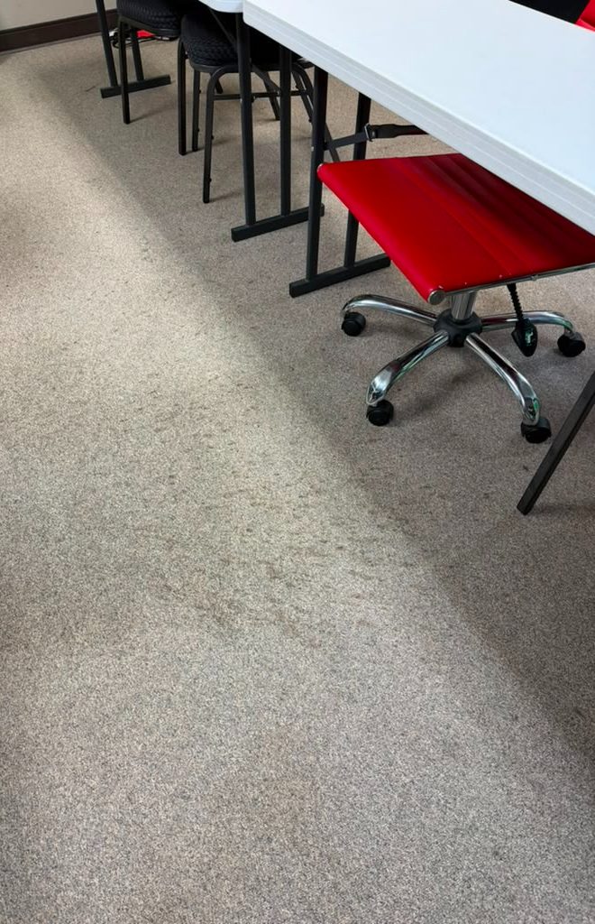 Before cleaning — darkened carpet traffic lane