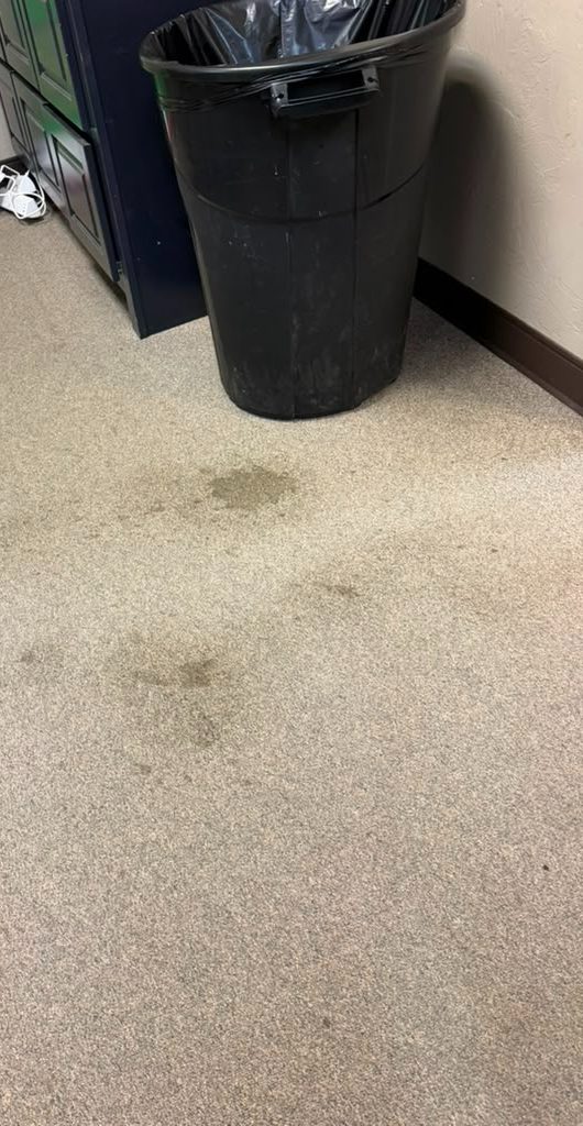 Before cleaning — stained office carpet
